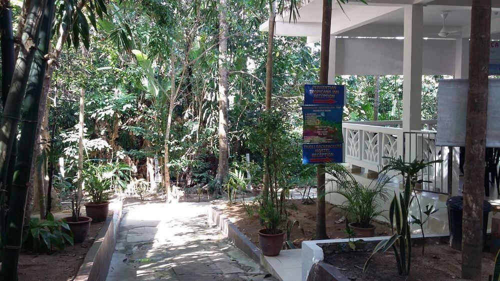 Perhentian Tropicana Inn Pulau Perhentian Kecil Exterior foto